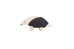 Pole Pole Small Anteater Child