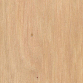legno carpino vud