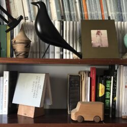 Vud-progetto cugno - book wedge - bookshelf